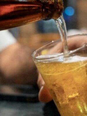 licor_1_0_2_0 licor_1_0_2_0